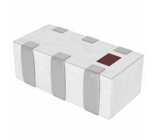 2450LP14A100T image.